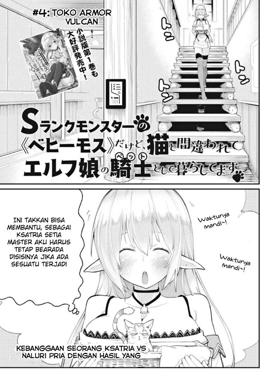 S-Rank Monster no Behemoth Dakedo, Neko to Machigawarete Erufu Musume no Kishi (Pet) Toshite Kurashitemasu Chapter 04 Gambar 2